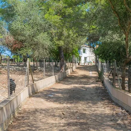 Finca Son Baulo *