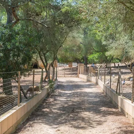 Casa de Férias Finca Son Baulo